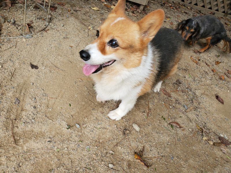 f:id:roukenhome-ann:20191003143650j:plain f:id:roukenhome-ann:20191003143650j:plain