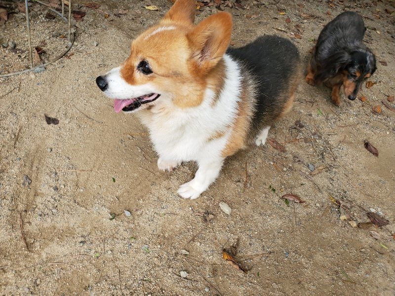 f:id:roukenhome-ann:20191003143655j:plain f:id:roukenhome-ann:20191003143655j:plain