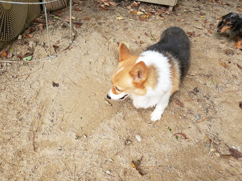 f:id:roukenhome-ann:20191003143701j:plain f:id:roukenhome-ann:20191003143701j:plain