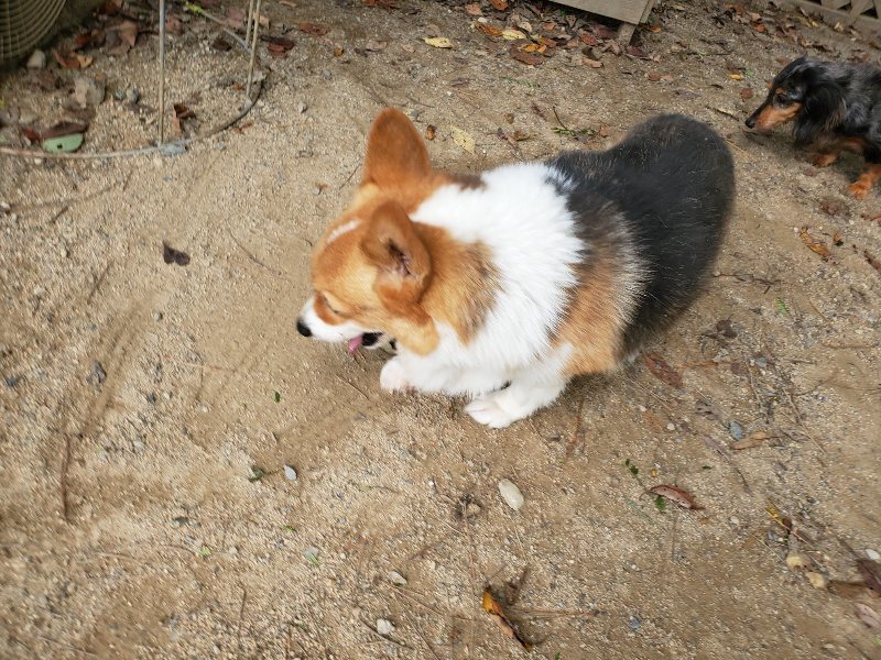 f:id:roukenhome-ann:20191003143707j:plain f:id:roukenhome-ann:20191003143707j:plain