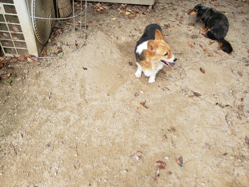 f:id:roukenhome-ann:20191003143713j:plain f:id:roukenhome-ann:20191003143713j:plain