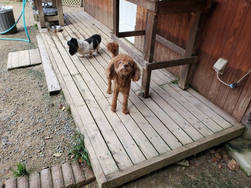 f:id:roukenhome-ann:20191003143719j:plain f:id:roukenhome-ann:20191003143719j:plain