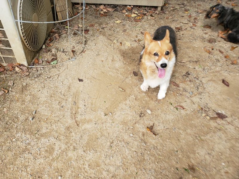 f:id:roukenhome-ann:20191003143725j:plain f:id:roukenhome-ann:20191003143725j:plain