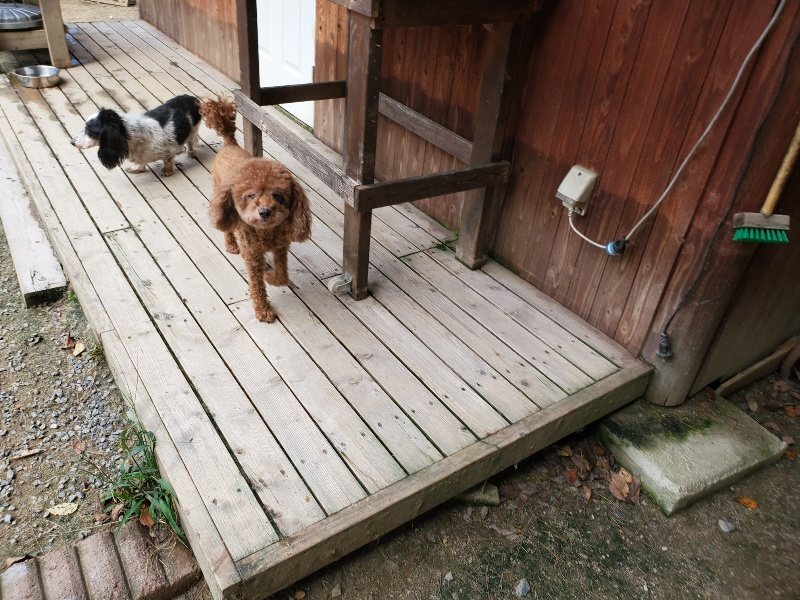 f:id:roukenhome-ann:20191003143731j:plain f:id:roukenhome-ann:20191003143731j:plain