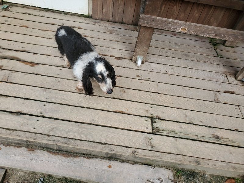 f:id:roukenhome-ann:20191003143738j:plain f:id:roukenhome-ann:20191003143738j:plain