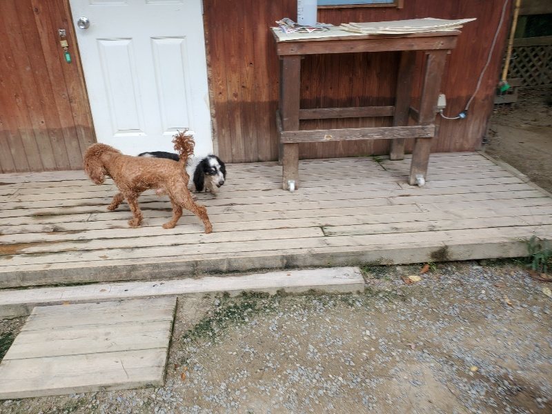 f:id:roukenhome-ann:20191003143749j:plain f:id:roukenhome-ann:20191003143749j:plain