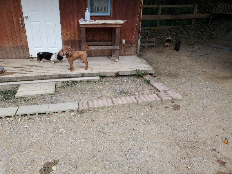 f:id:roukenhome-ann:20191003143758j:plain f:id:roukenhome-ann:20191003143758j:plain