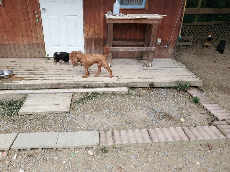 f:id:roukenhome-ann:20191003143802j:plain f:id:roukenhome-ann:20191003143802j:plain