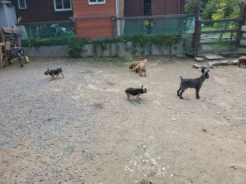 f:id:roukenhome-ann:20191003143813j:plain f:id:roukenhome-ann:20191003143813j:plain