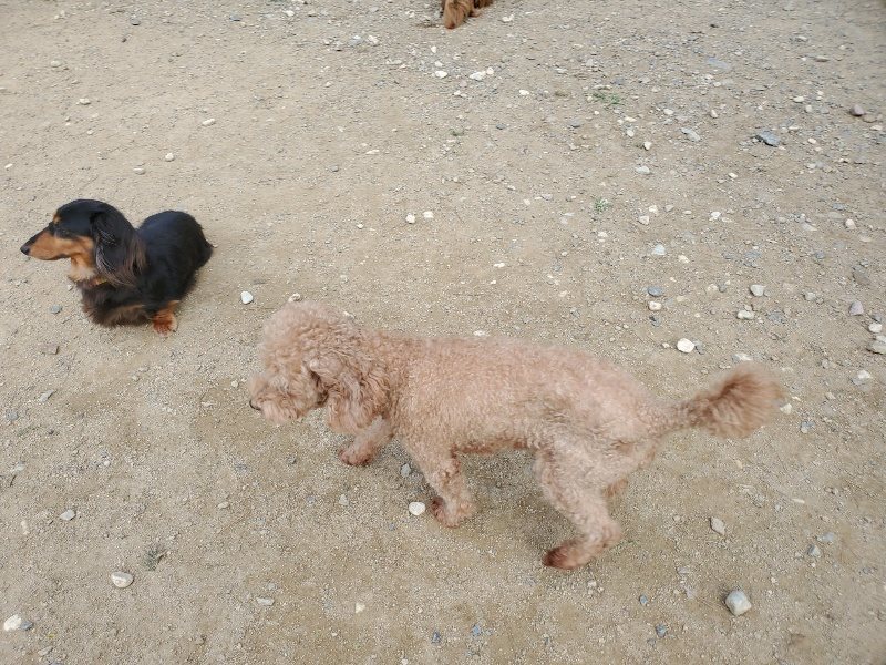 f:id:roukenhome-ann:20191003143819j:plain f:id:roukenhome-ann:20191003143819j:plain