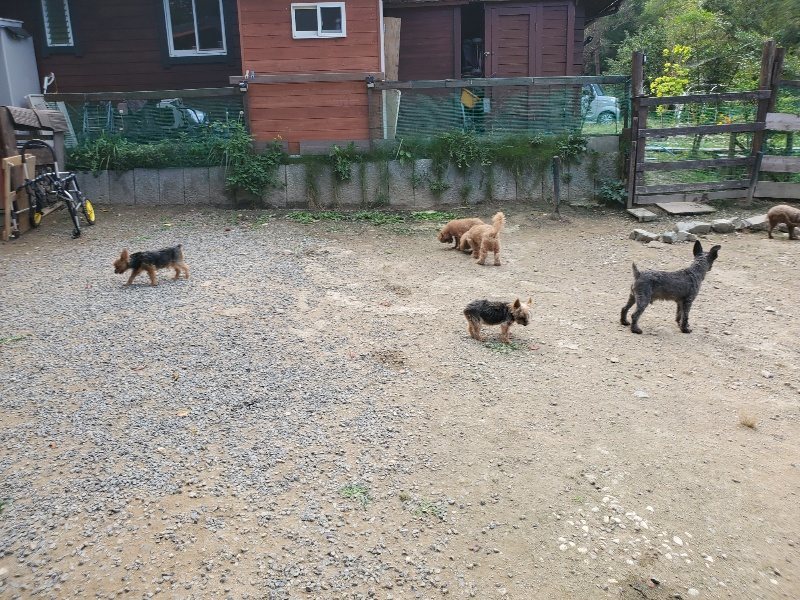 f:id:roukenhome-ann:20191003143825j:plain f:id:roukenhome-ann:20191003143825j:plain