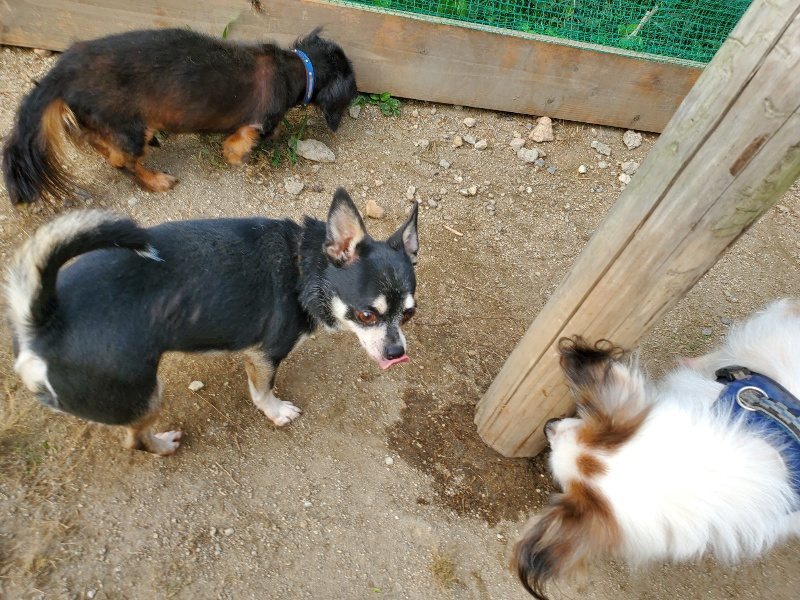 f:id:roukenhome-ann:20191003144054j:plain