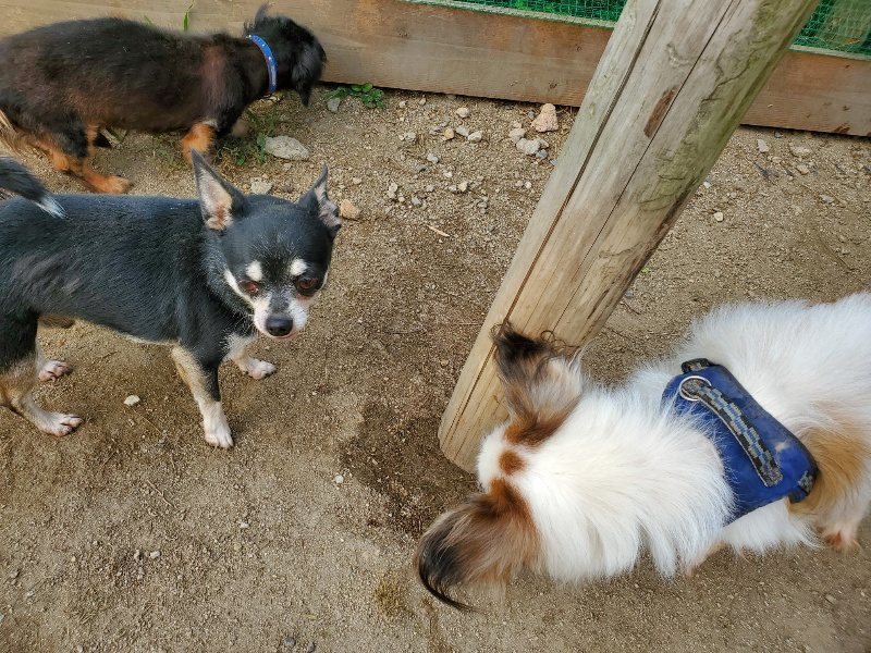 f:id:roukenhome-ann:20191003144059j:plain
