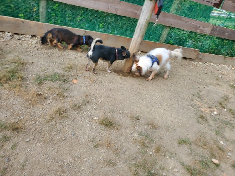 f:id:roukenhome-ann:20191003144111j:plain