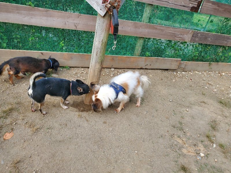 f:id:roukenhome-ann:20191003144117j:plain