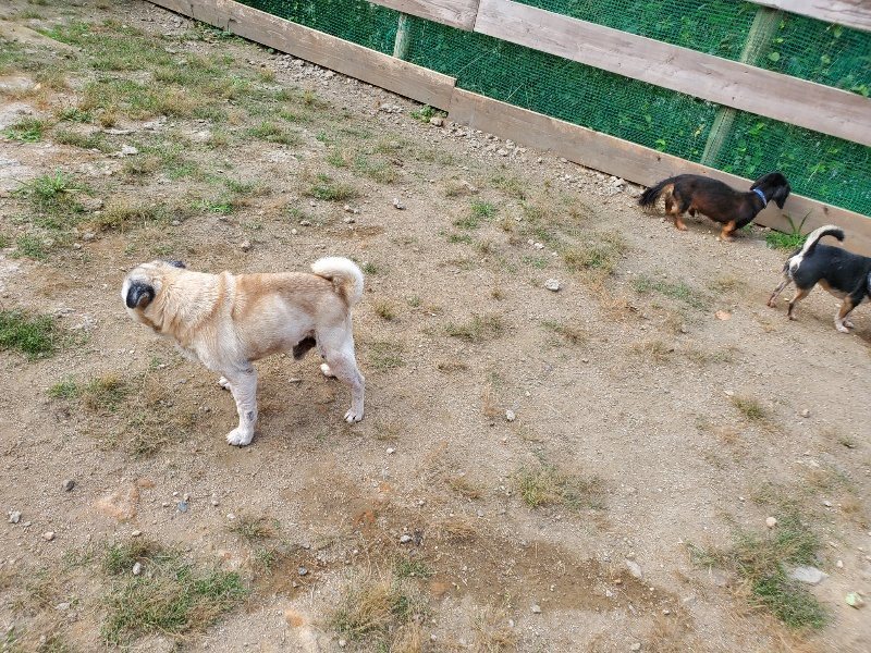 f:id:roukenhome-ann:20191003144139j:plain