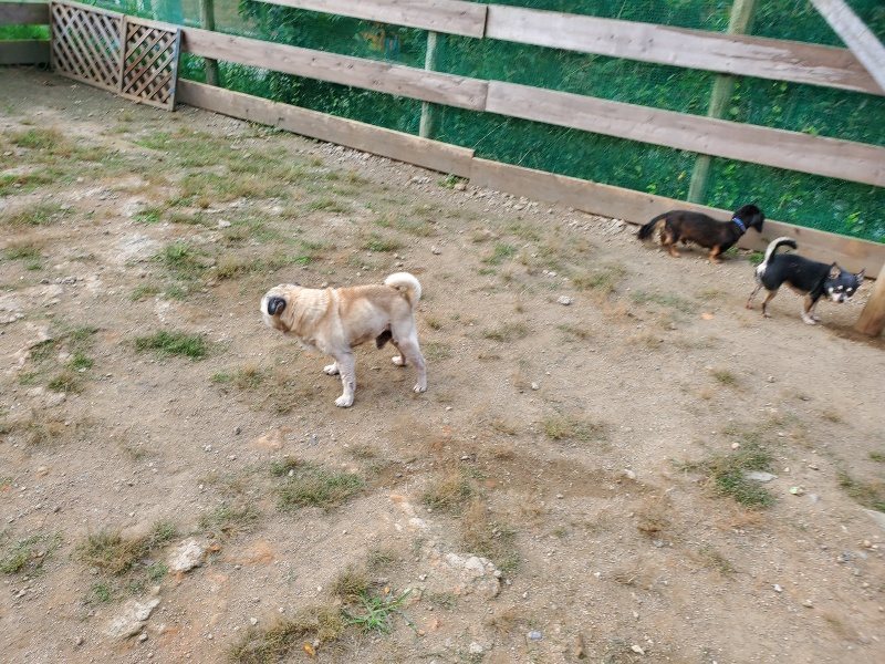 f:id:roukenhome-ann:20191003144149j:plain