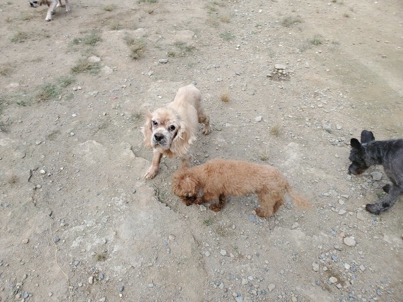f:id:roukenhome-ann:20191003144200j:plain