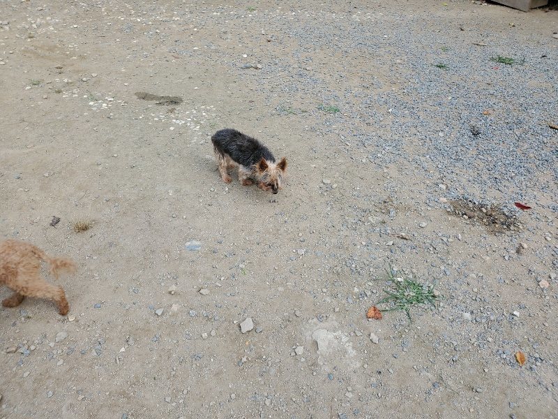 f:id:roukenhome-ann:20191003144207j:plain