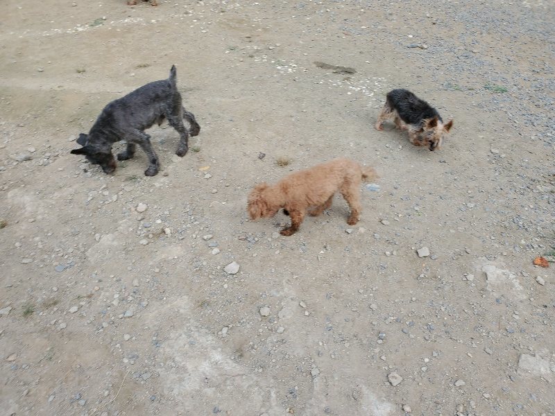 f:id:roukenhome-ann:20191003144212j:plain