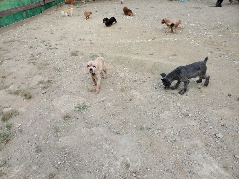 f:id:roukenhome-ann:20191003144221j:plain