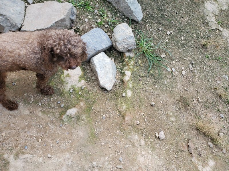 f:id:roukenhome-ann:20191003144227j:plain