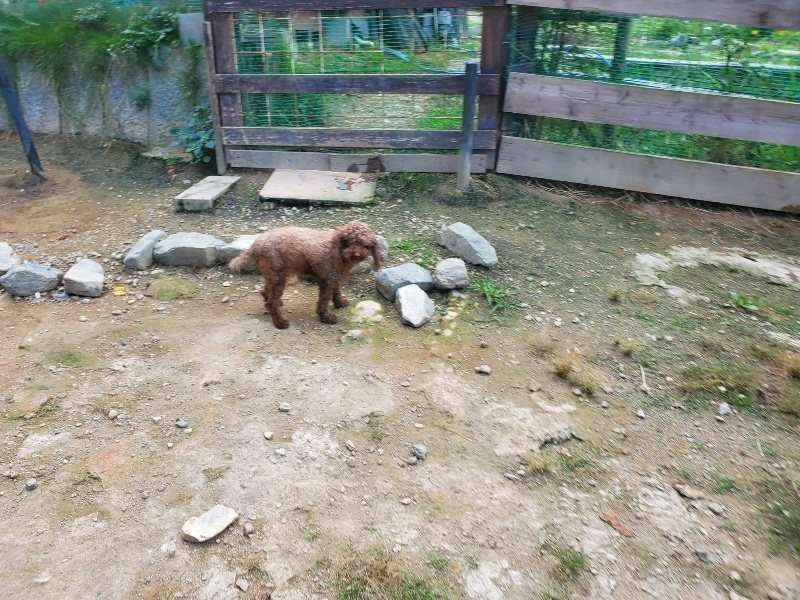f:id:roukenhome-ann:20191003144259j:plain