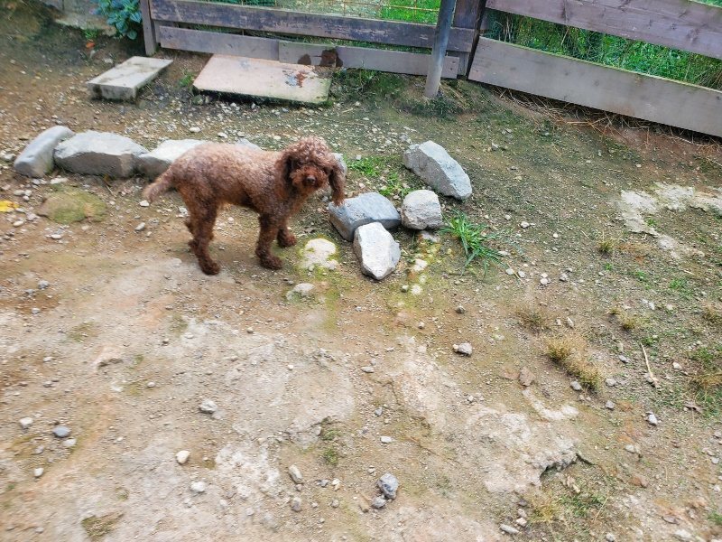 f:id:roukenhome-ann:20191003144305j:plain