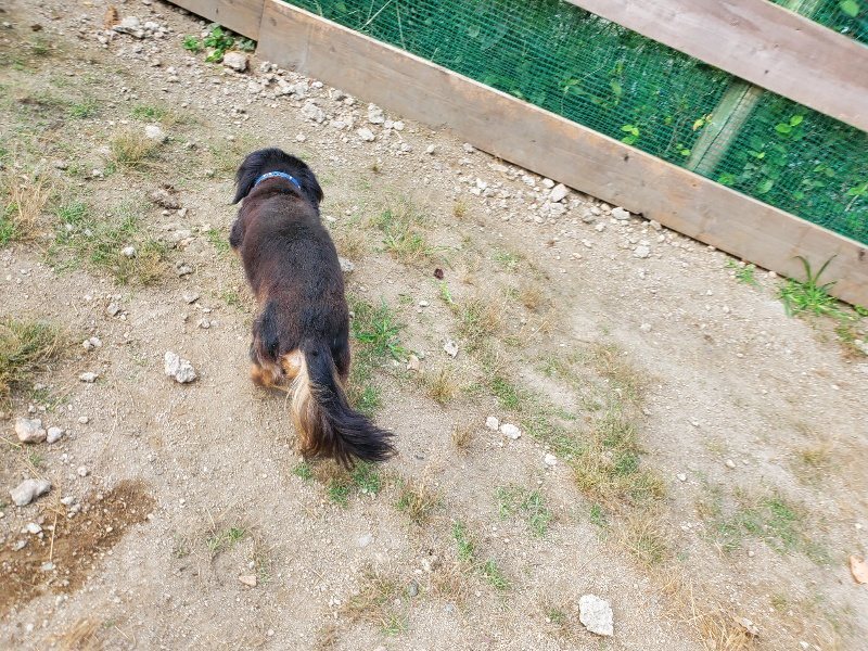 f:id:roukenhome-ann:20191003144316j:plain