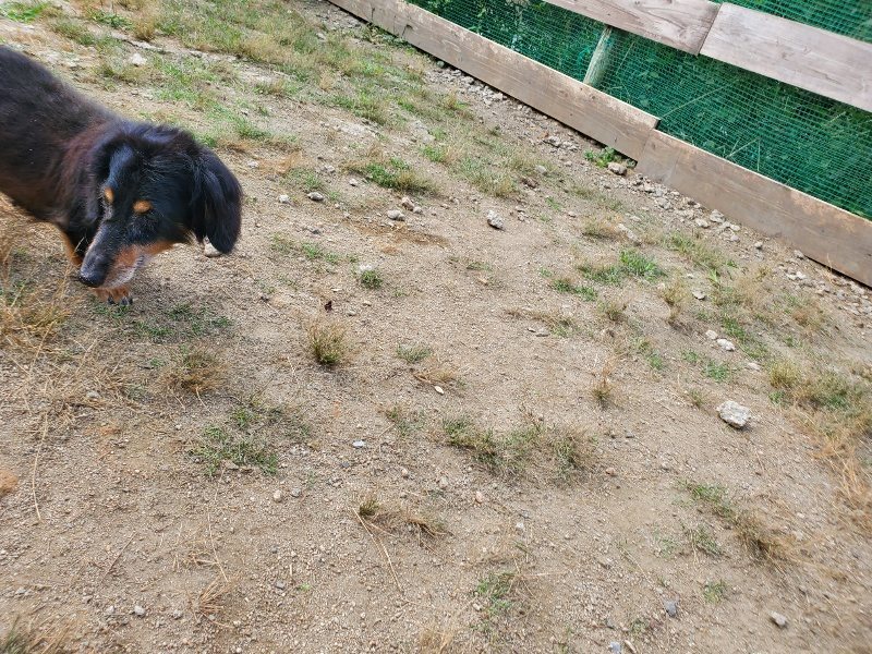 f:id:roukenhome-ann:20191003144336j:plain