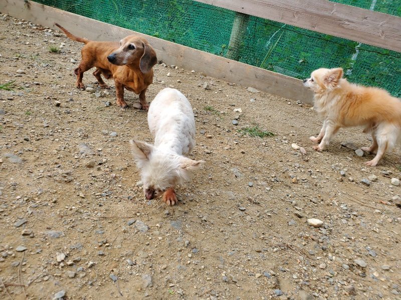 f:id:roukenhome-ann:20191003144445j:plain
