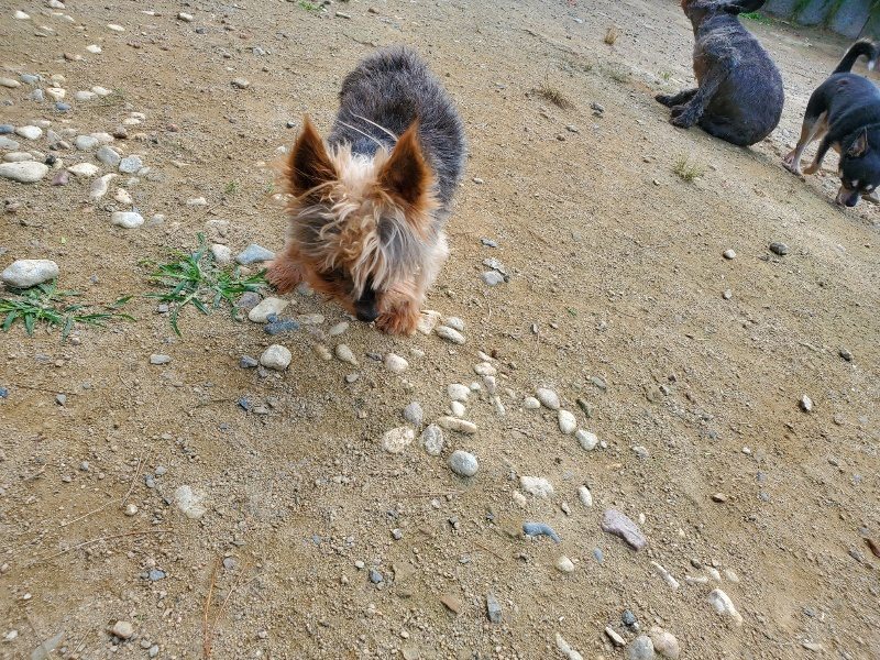f:id:roukenhome-ann:20191003144540j:plain