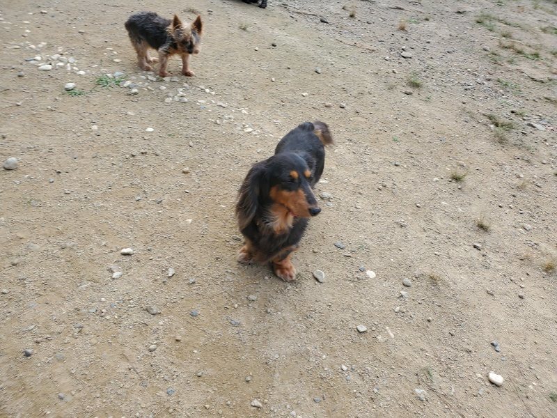 f:id:roukenhome-ann:20191003144627j:plain