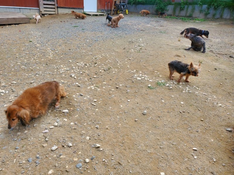 f:id:roukenhome-ann:20191003144633j:plain