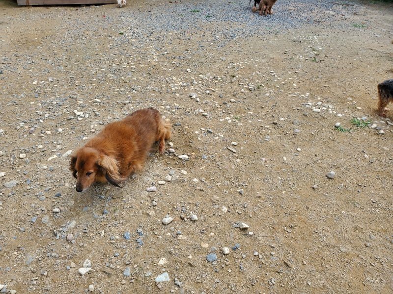 f:id:roukenhome-ann:20191003144639j:plain