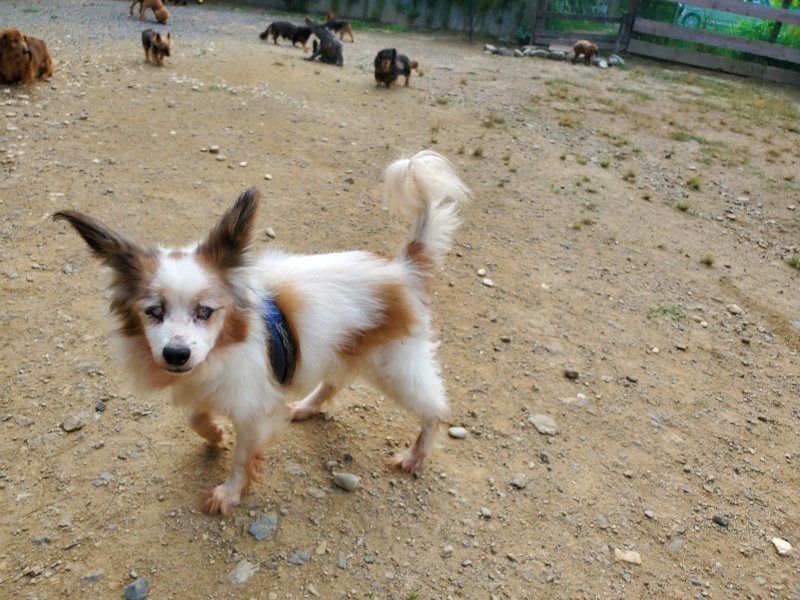 f:id:roukenhome-ann:20191003144718j:plain