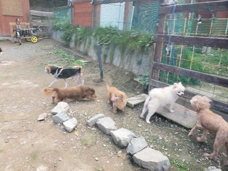 f:id:roukenhome-ann:20191003144837j:plain