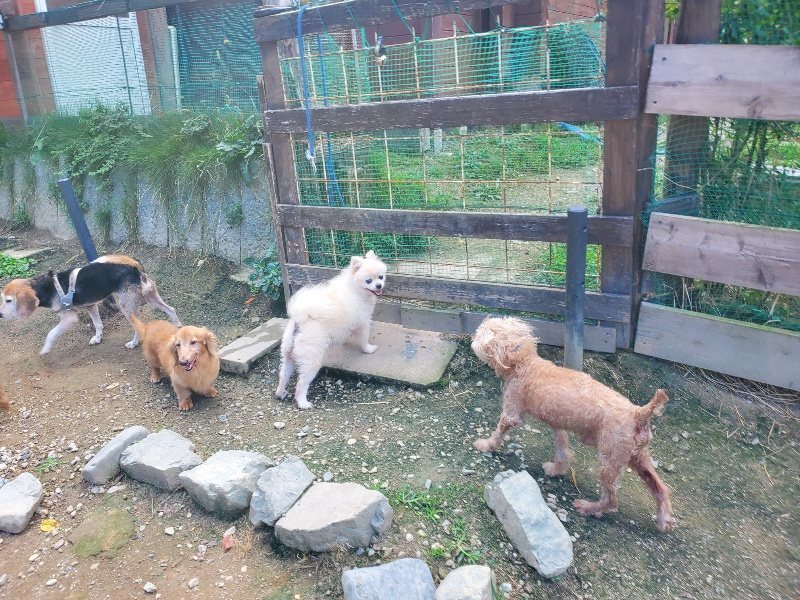 f:id:roukenhome-ann:20191003144842j:plain