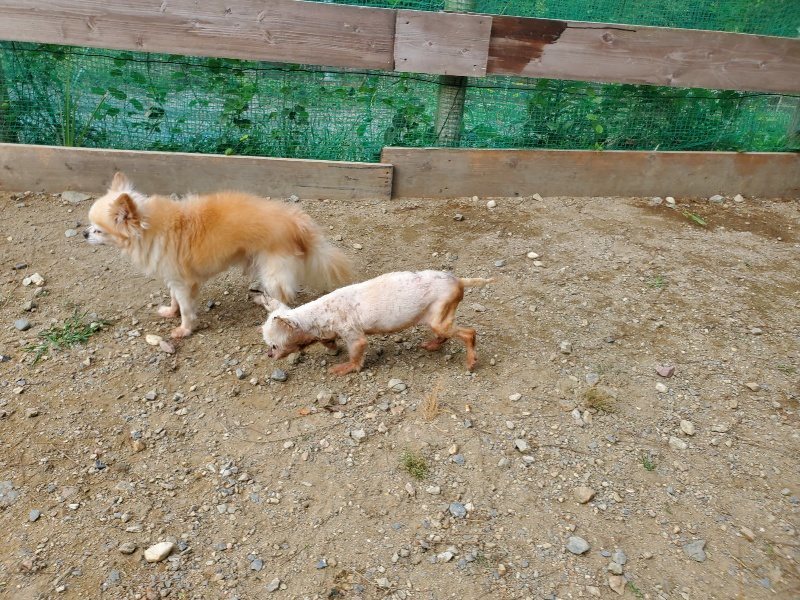 f:id:roukenhome-ann:20191003144904j:plain