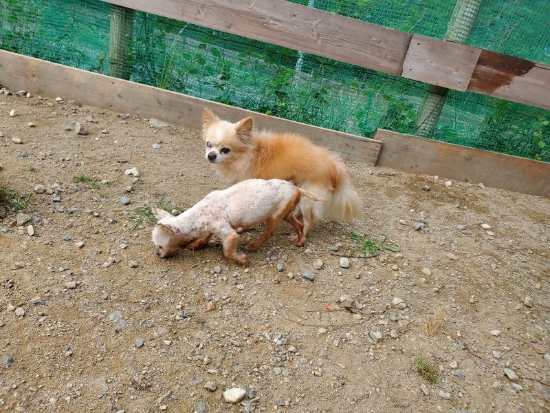 f:id:roukenhome-ann:20191003144910j:plain