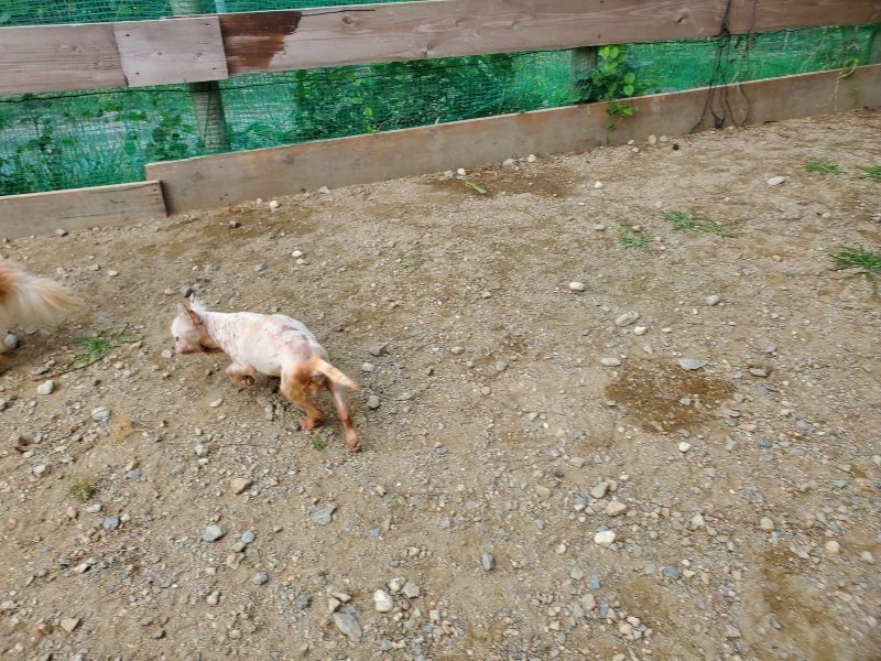 f:id:roukenhome-ann:20191003144915j:plain