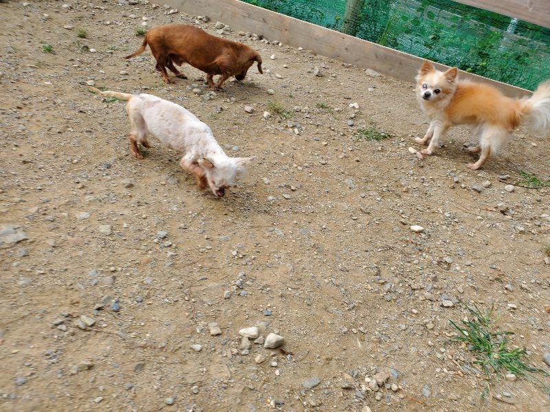 f:id:roukenhome-ann:20191003144928j:plain