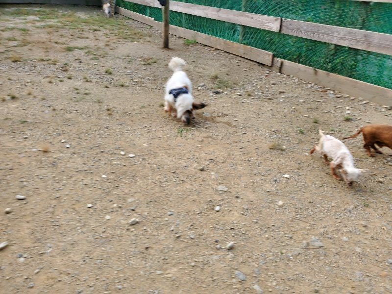 f:id:roukenhome-ann:20191003144934j:plain