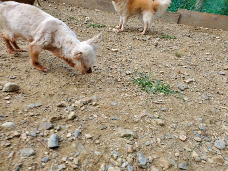 f:id:roukenhome-ann:20191003144941j:plain