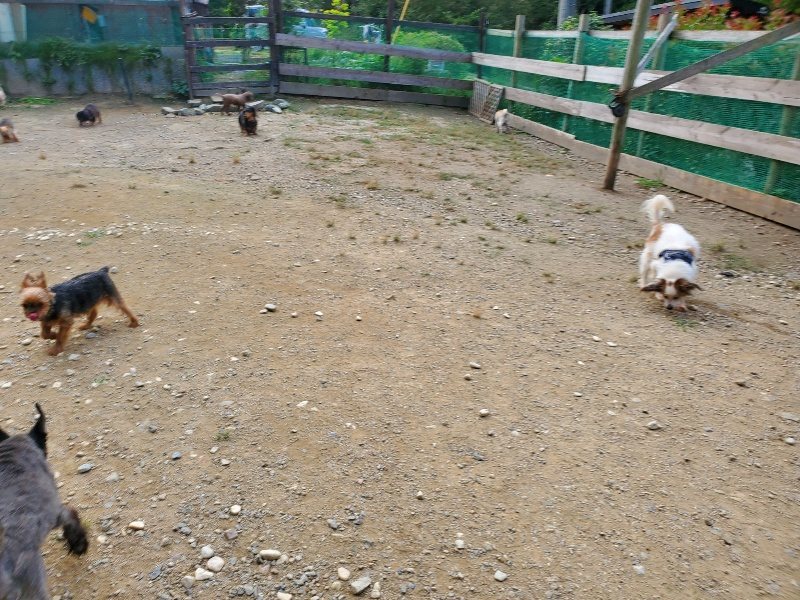 f:id:roukenhome-ann:20191003144954j:plain