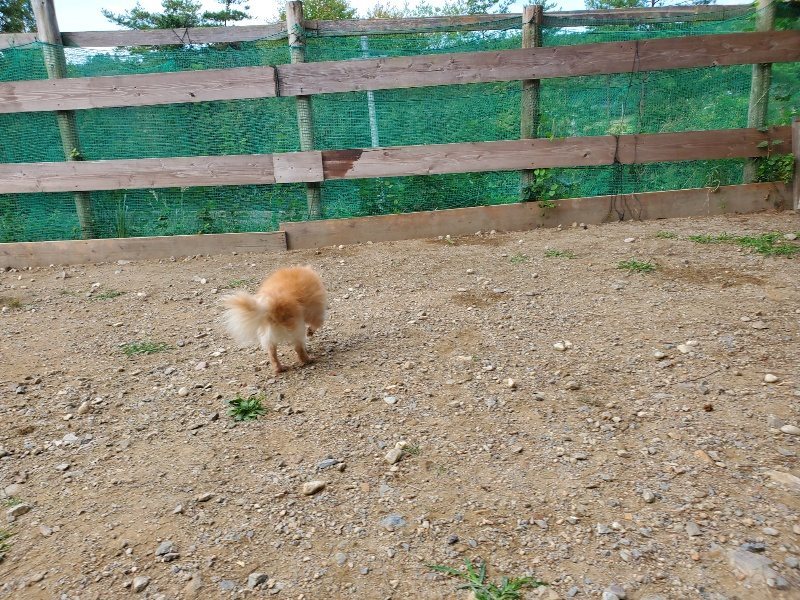 f:id:roukenhome-ann:20191003145001j:plain