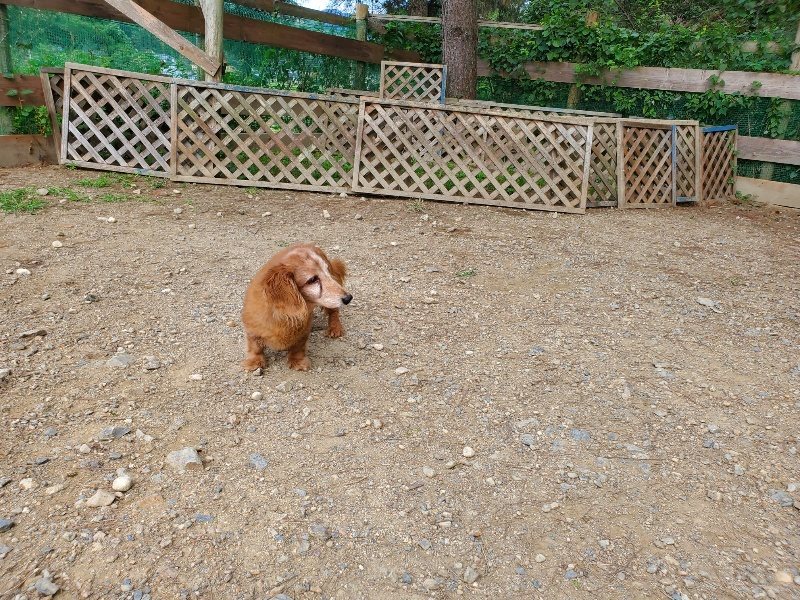 f:id:roukenhome-ann:20191003145007j:plain