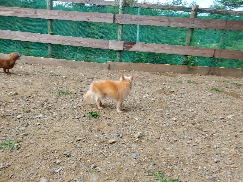 f:id:roukenhome-ann:20191003145013j:plain