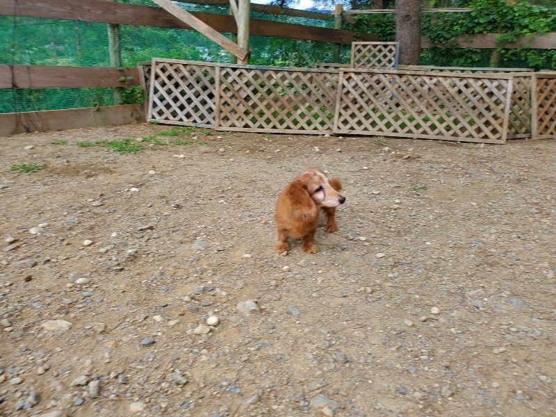 f:id:roukenhome-ann:20191003145019j:plain
