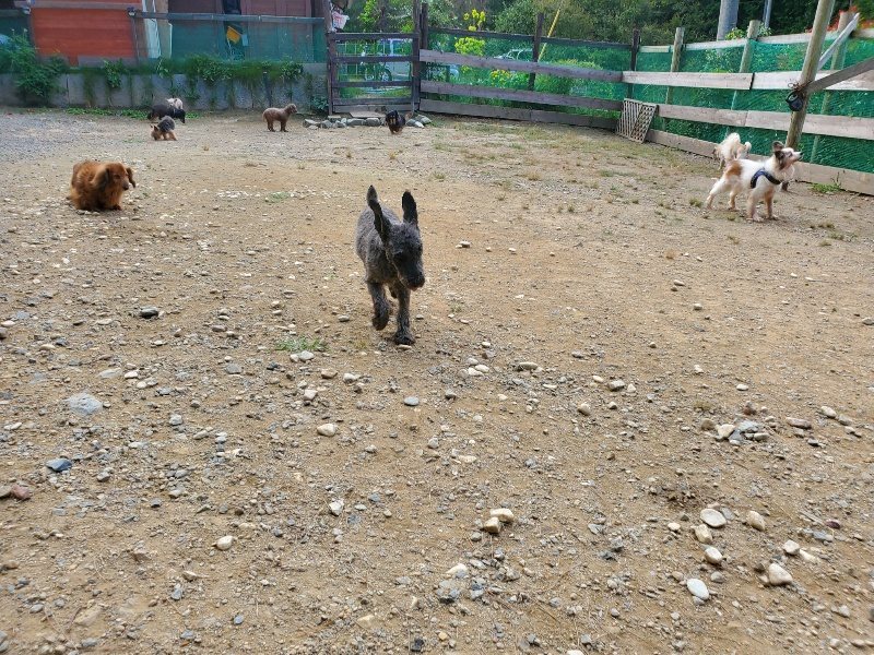 f:id:roukenhome-ann:20191003145026j:plain